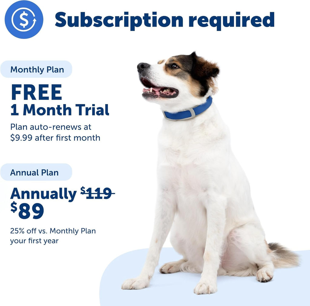 Guardian GPS Tracking Dog Fence Collar - Reliable Dog Fence - Wireless Virtual System - Waterproof Collar - Long Lasting Battery - Blue