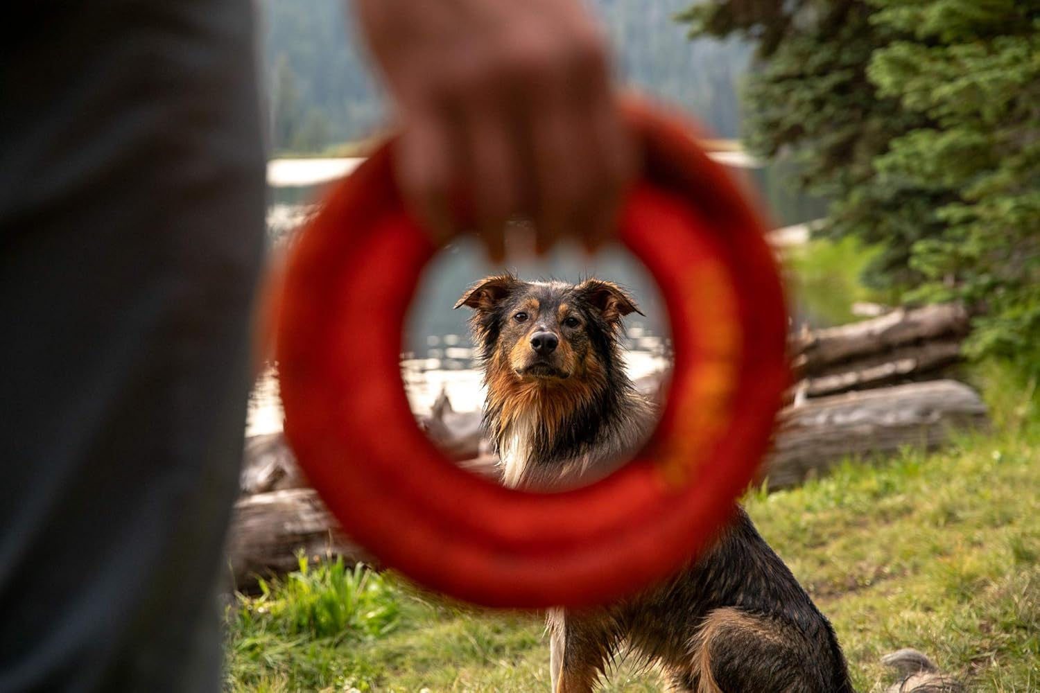 , Hydro Plane Floating Disc for Dogs, Campfire Orange, Medium