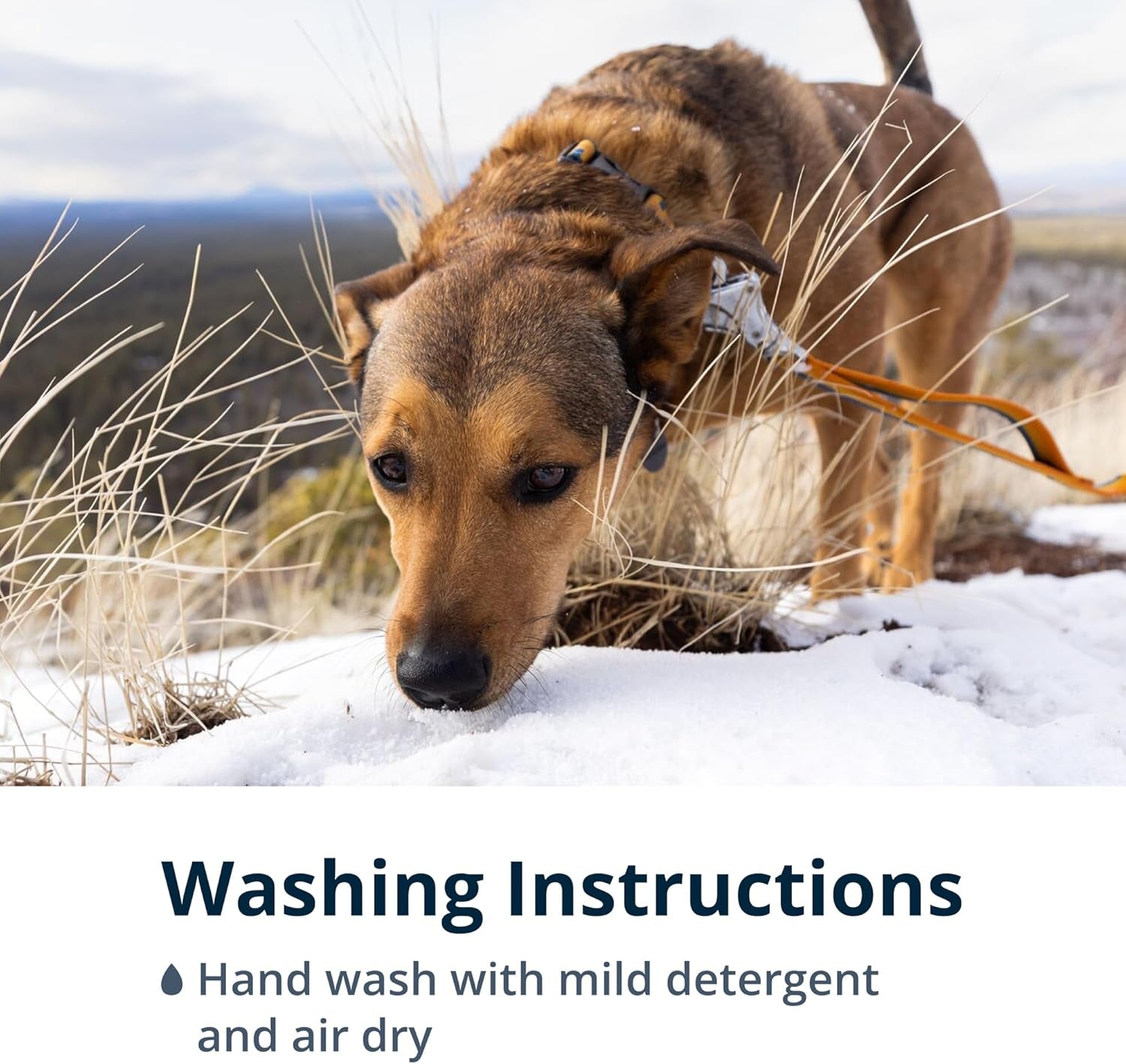 , Roamer Bungee Dog Leash for Running, Biking or Hiking, Can Be Used Hand-Held or Hands-Free, Orion Blue, 5.5'-7'