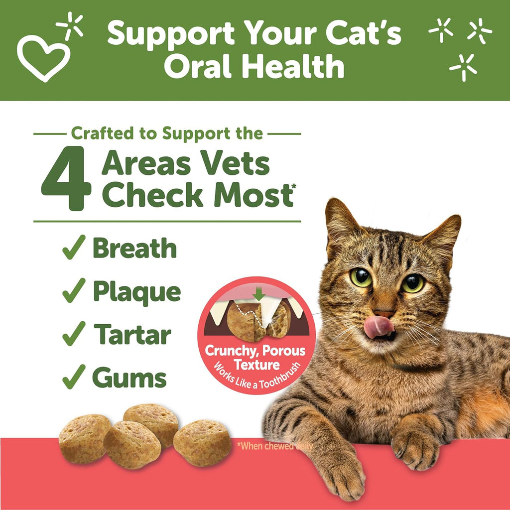 Wellness Cat Dental Treats, Natural Chews, Chicken and Salmon Flavor, (2 Ounce Bag)