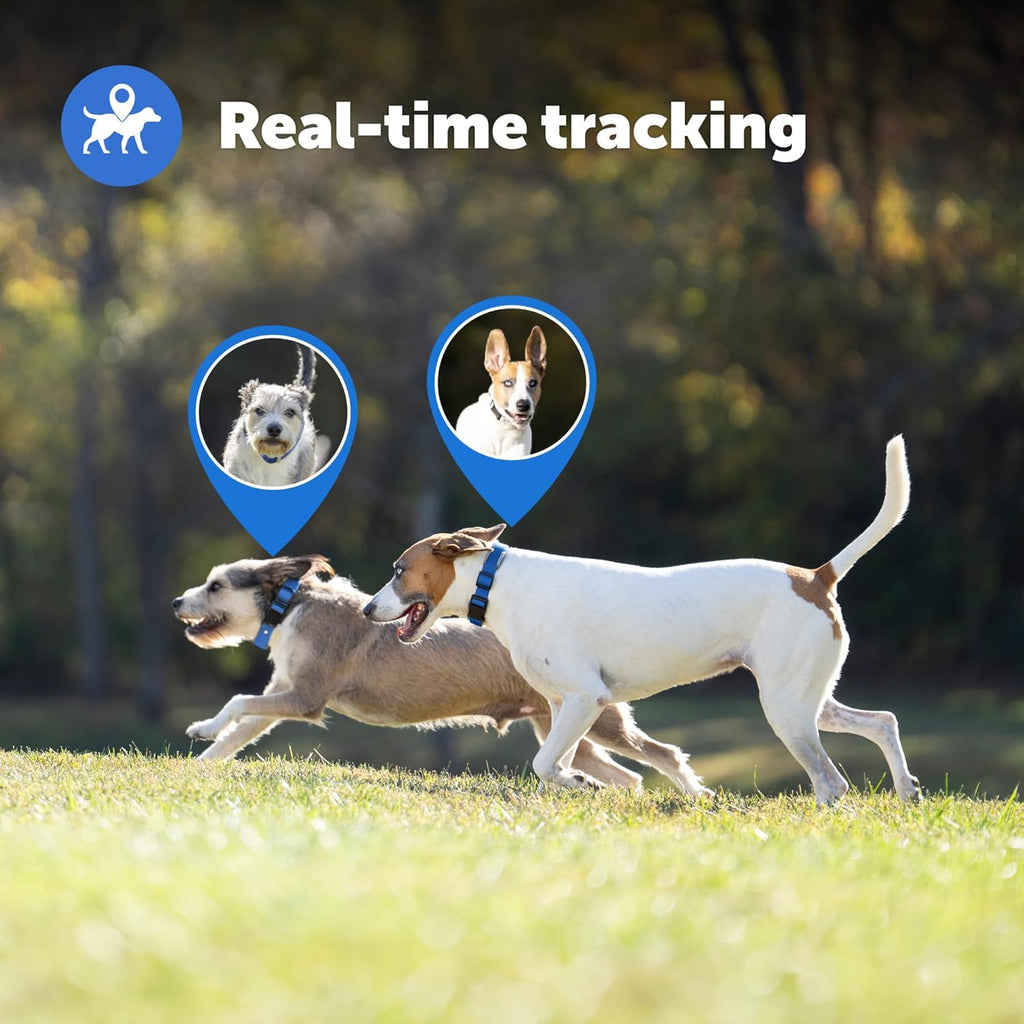 Guardian GPS Tracking Dog Fence Collar - Reliable Dog Fence - Wireless Virtual System - Waterproof Collar - Long Lasting Battery - Blue
