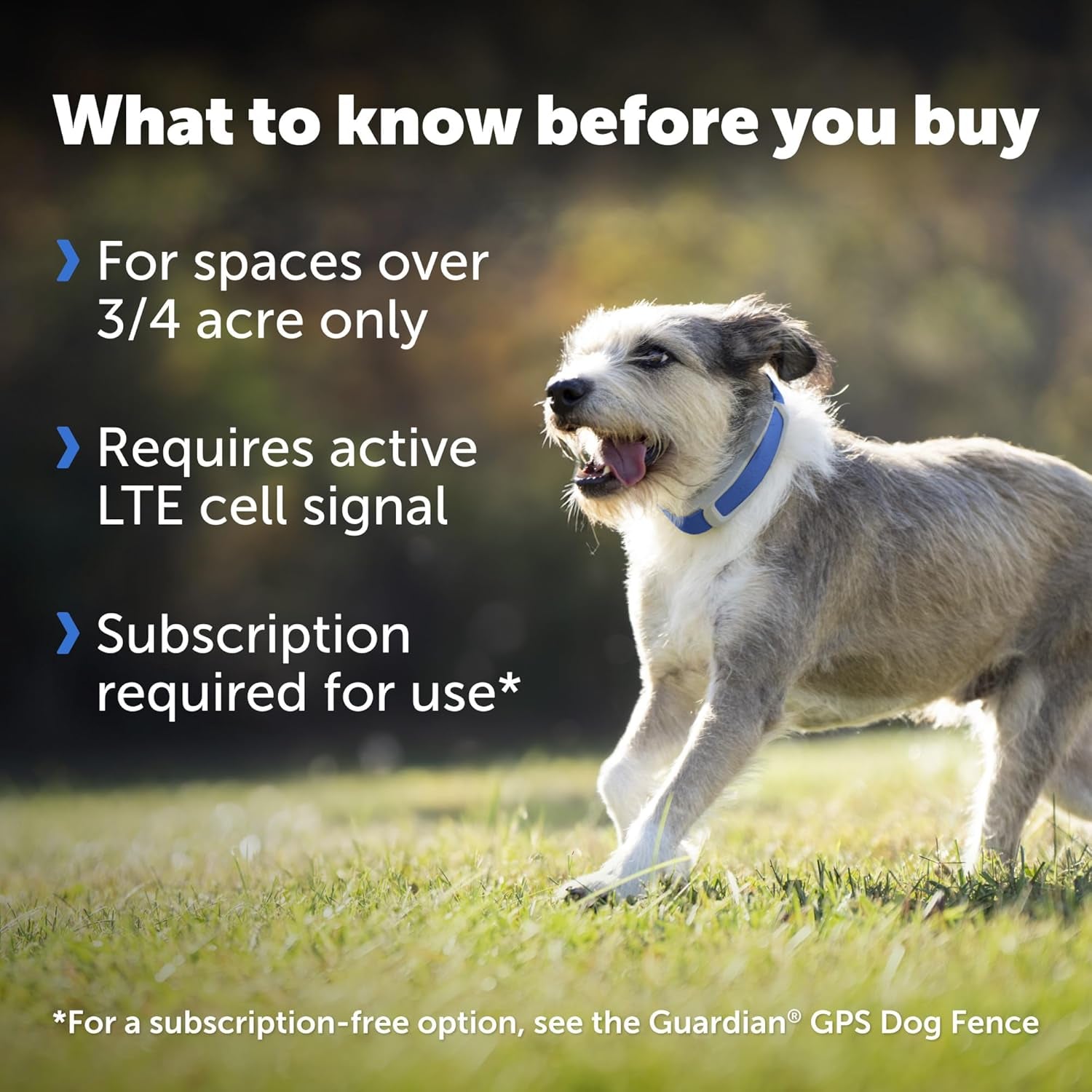 Guardian GPS Tracking Dog Fence Collar - Reliable Dog Fence - Wireless Virtual System - Waterproof Collar - Long Lasting Battery - Blue