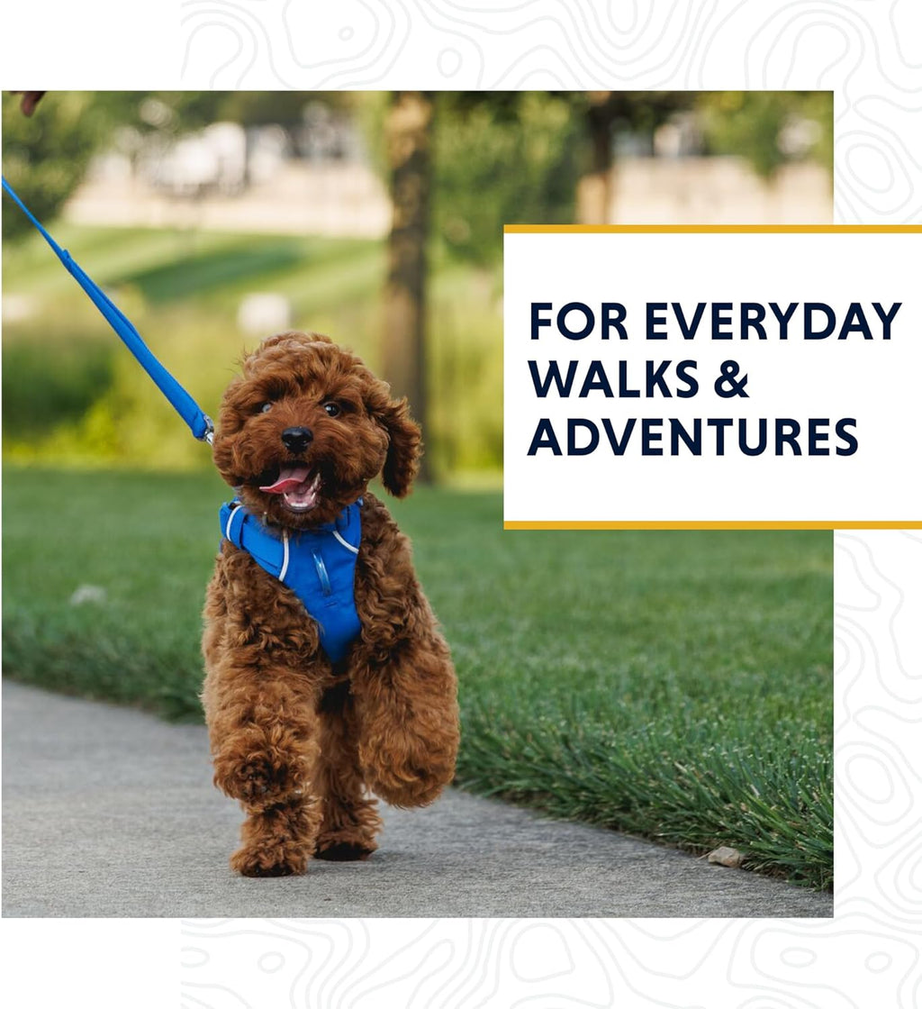 , Front Range Dog Leash, 5 Ft Lead with Padded Handle for Everyday Walking, Moonlight Fade