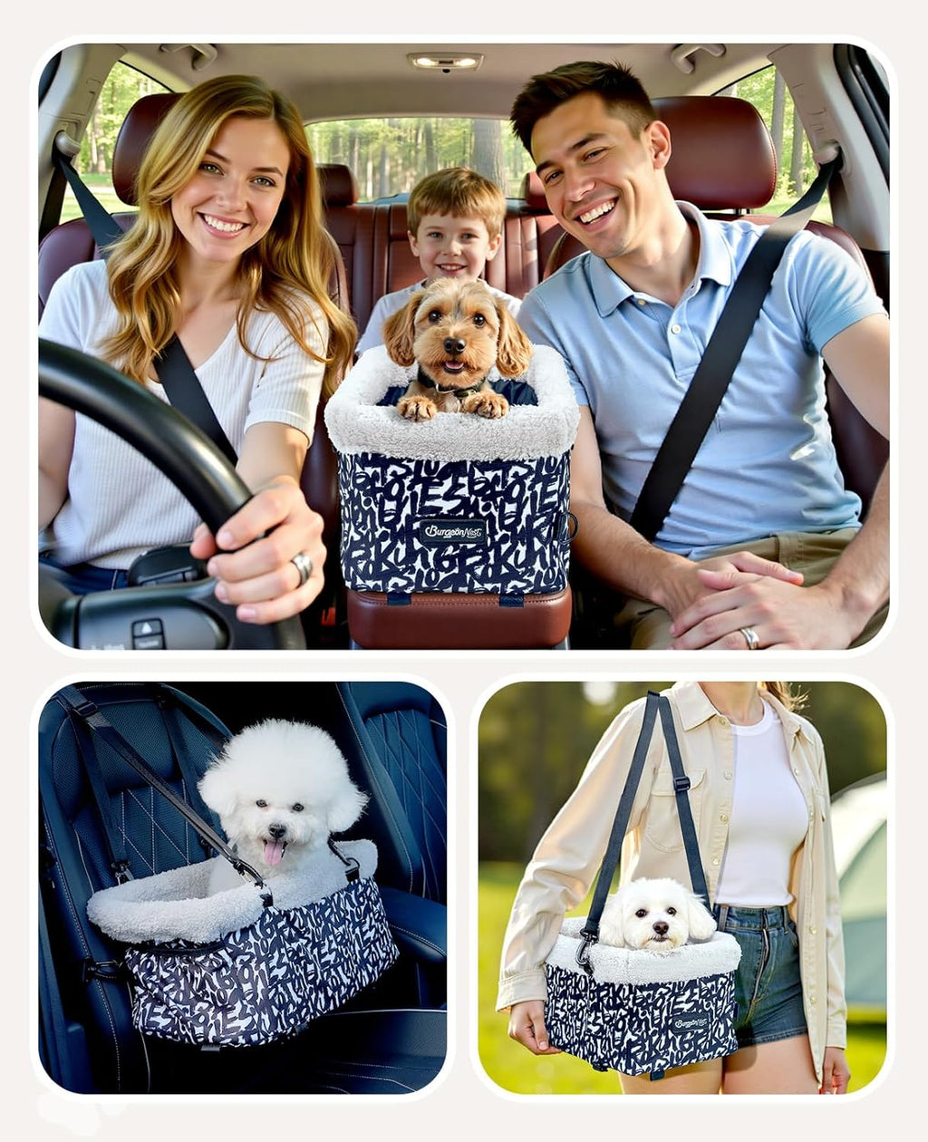 Center Console Dog Car Seat for Small Dogs, Puppy Cat Car Seat Booster with Soft Cushion Safety Belt, Seats Safe & Cozy Metal Frame Armrest Dog Booster Pet under 11 Lbs (Graffiti)