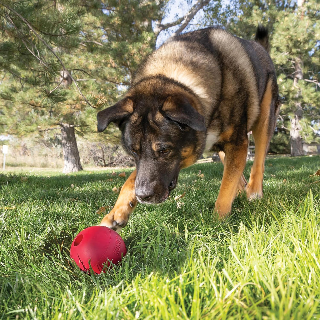 Ball with Hole - Durable Dog Fetch Toy for Training, Interactive Playtime & More - Classic Natural Rubber Ball - Red - for Large/X-Large Dogs