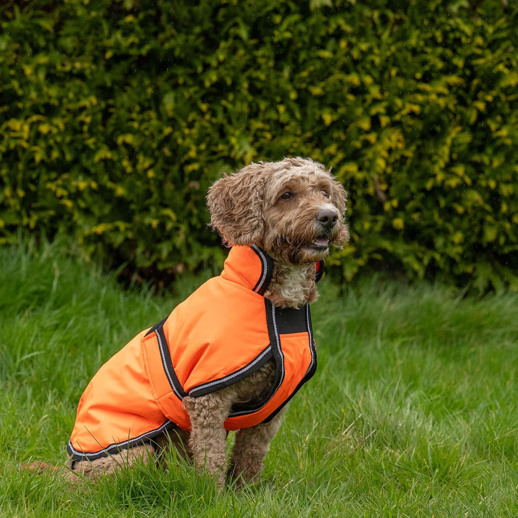 Comfitec Reflective Parka 300D Deluxe Dog Coat, Orange, 30"