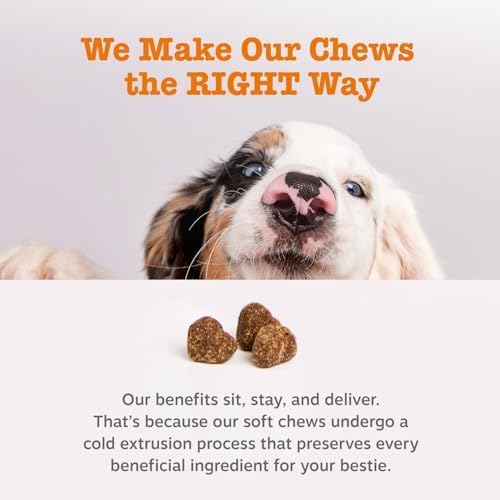 Probiotics for Dogs - Digestive Enzymes for Gut Flora, Digestive Health, Diarrhea & Bowel Support - Clinically Studied DE111 - Dog Supplement Soft Chew for Pet Immune System - Pumpkin