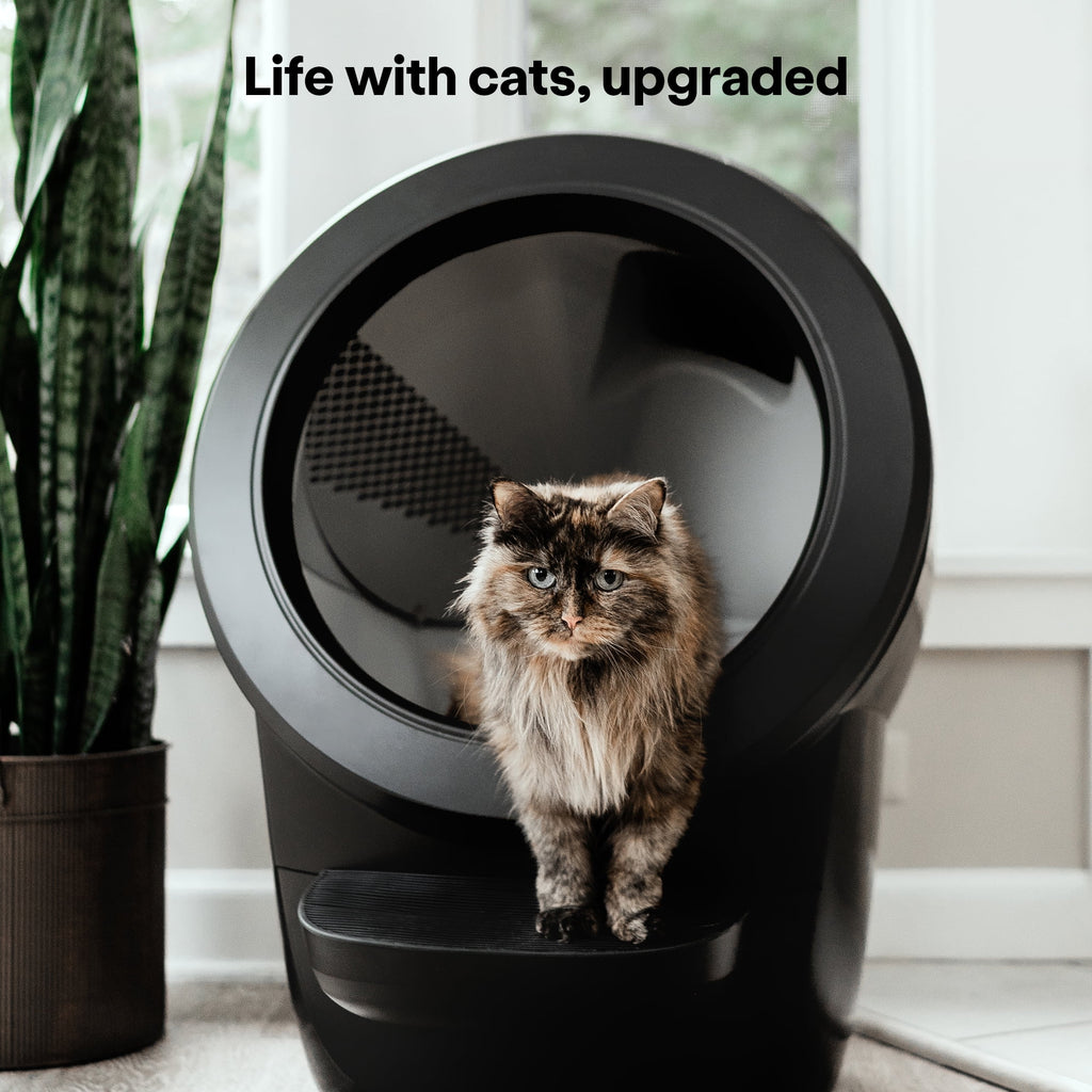 Litter-Robot 4 Core Bundle, Self-Cleaning Cat Litter Box with Accessories, Black