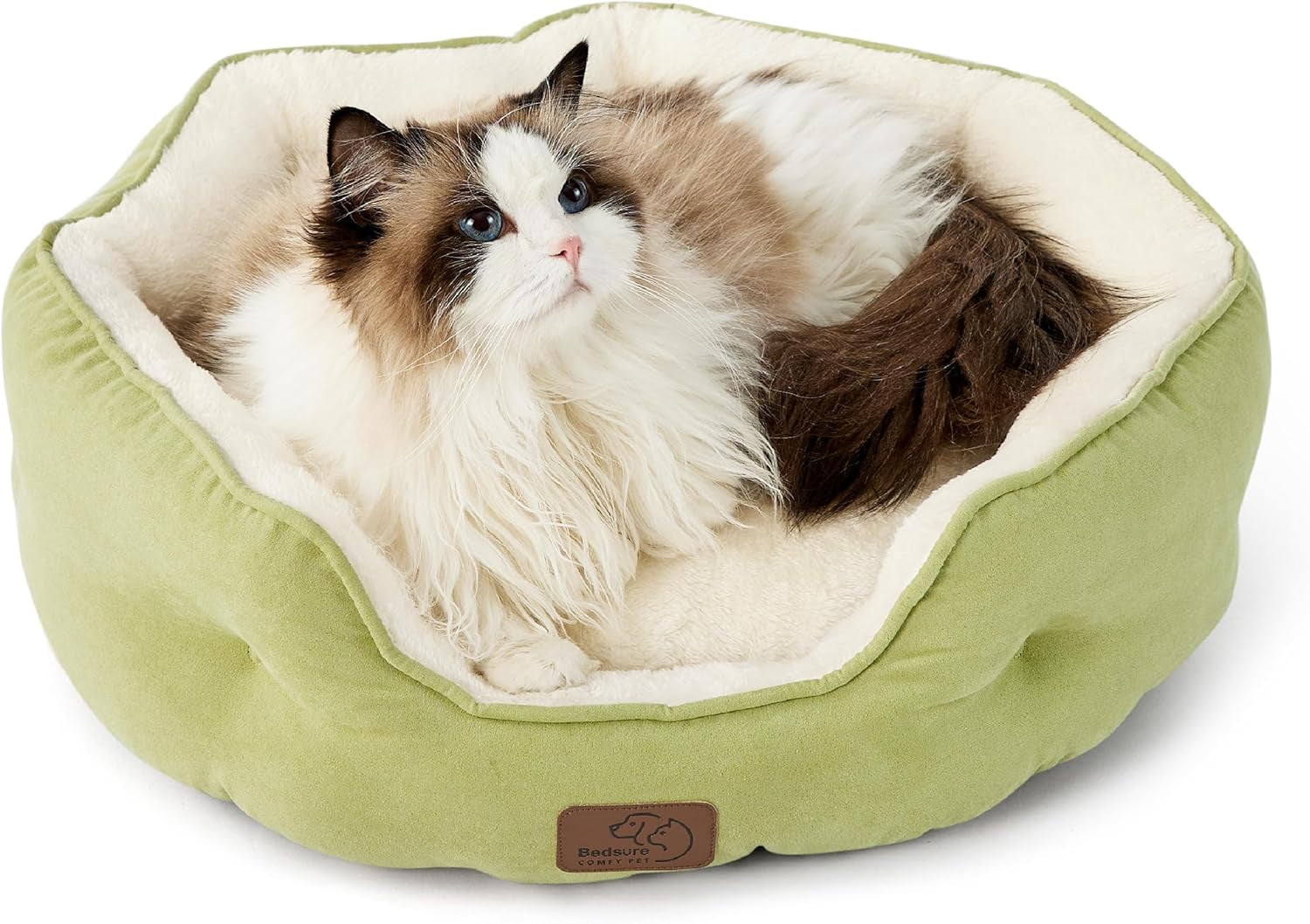 Dog Beds for Small Dogs - round Cat Beds for Indoor Cats, Washable Pet Bed for Puppy and Kitten with Slip-Resistant Bottom, 20 Inches, Green