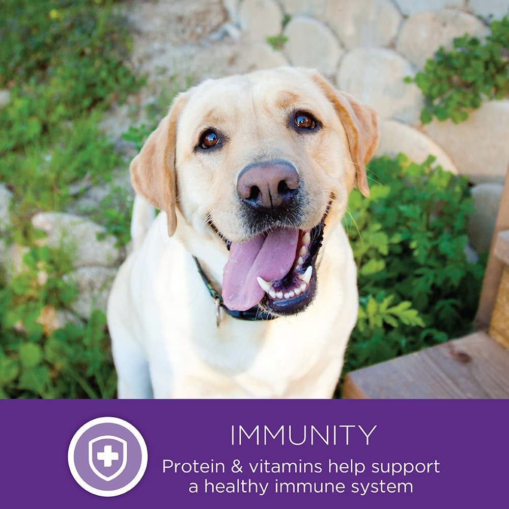 Natural Pet Food Complete Health Natural Dry Large Breed Puppy Food, Chicken, Salmon & Rice, 30-Pound Bag