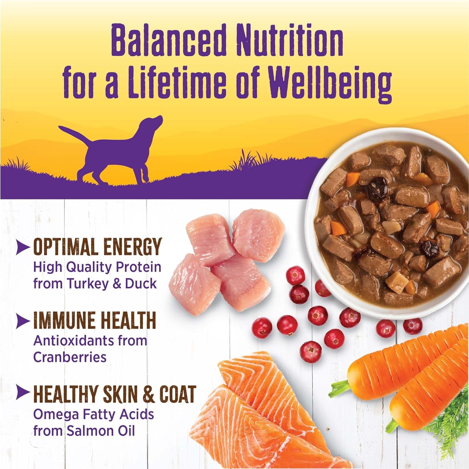 Complete Health Thick & Chunky Natural Grain Free Canned Wet Dog Food, Turkey & Duck Stew, 12.5-Ounce Can (Pack of 12)