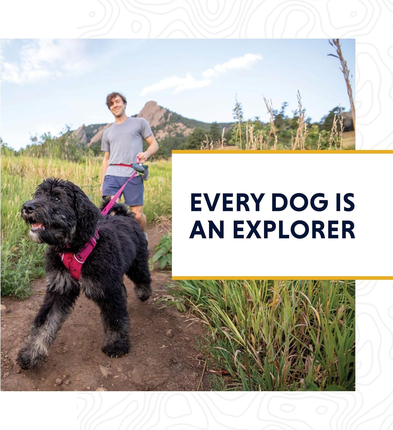 , Front Range Dog Leash, 5 Ft Lead with Padded Handle for Everyday Walking, Wildflower