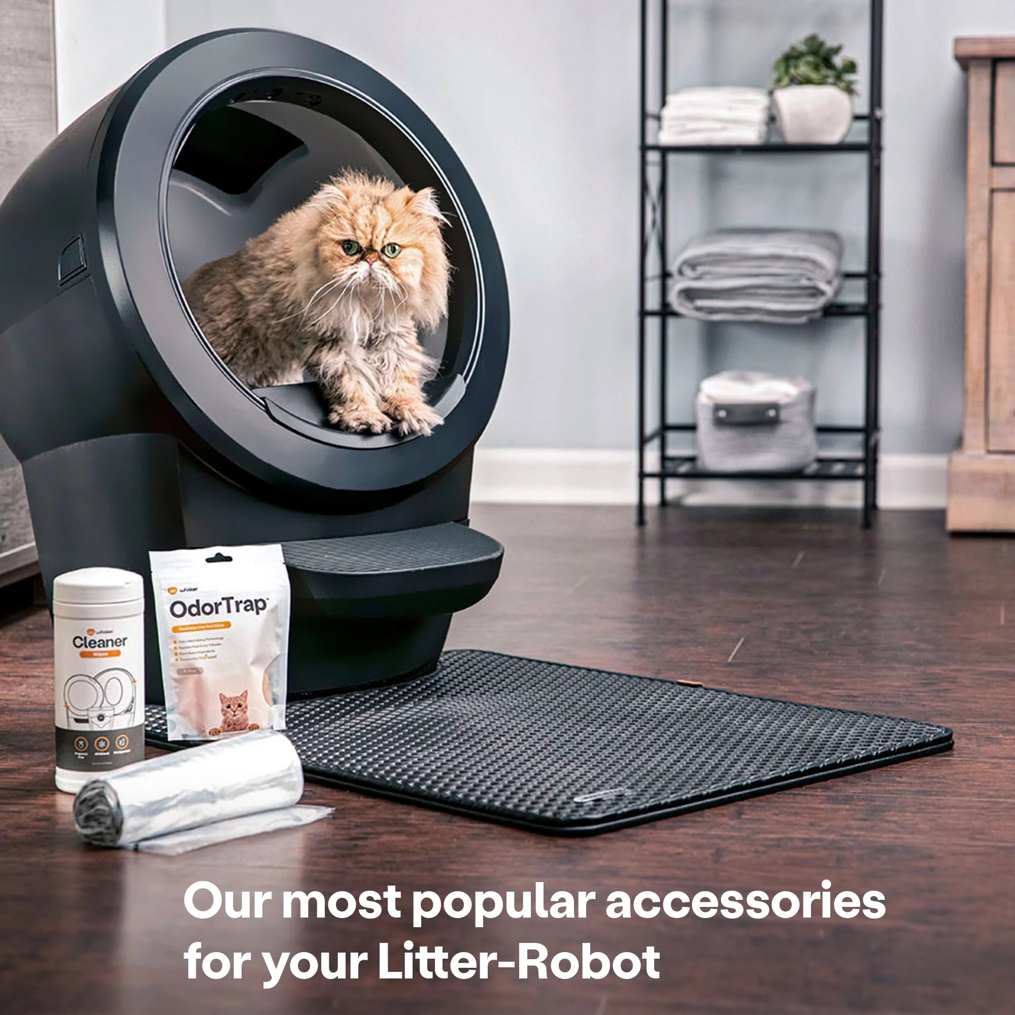 Litter-Robot 4 Core Bundle, Self-Cleaning Cat Litter Box with Accessories, Black