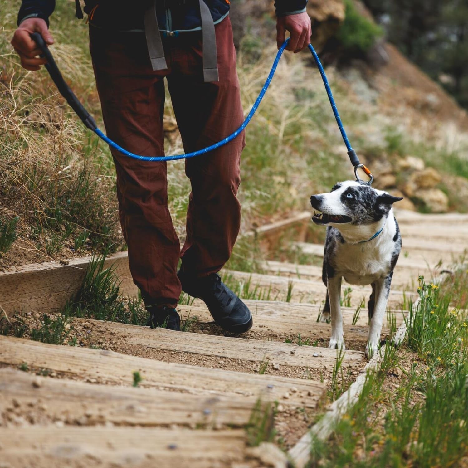 , Knot‑A‑Leash, Climbing‑Inspired Rope Leash, 5 Ft Reflective Rope, Secure Auto‑Locking Swivel Carabiner, Tubular Handle, Accessory Loop for Pick‑Up Bags, Moss Green, Large