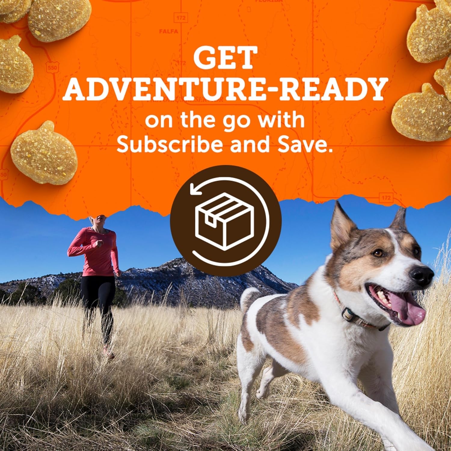 Zukes, Treats Mini Naturals Chicken Recipe, 6 Ounce