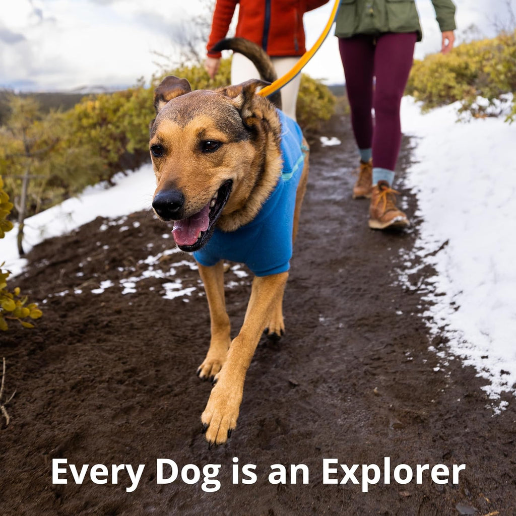 , Roamer Bungee Dog Leash for Running, Biking or Hiking, Can Be Used Hand-Held or Hands-Free, Orion Blue, 7.3'-11'