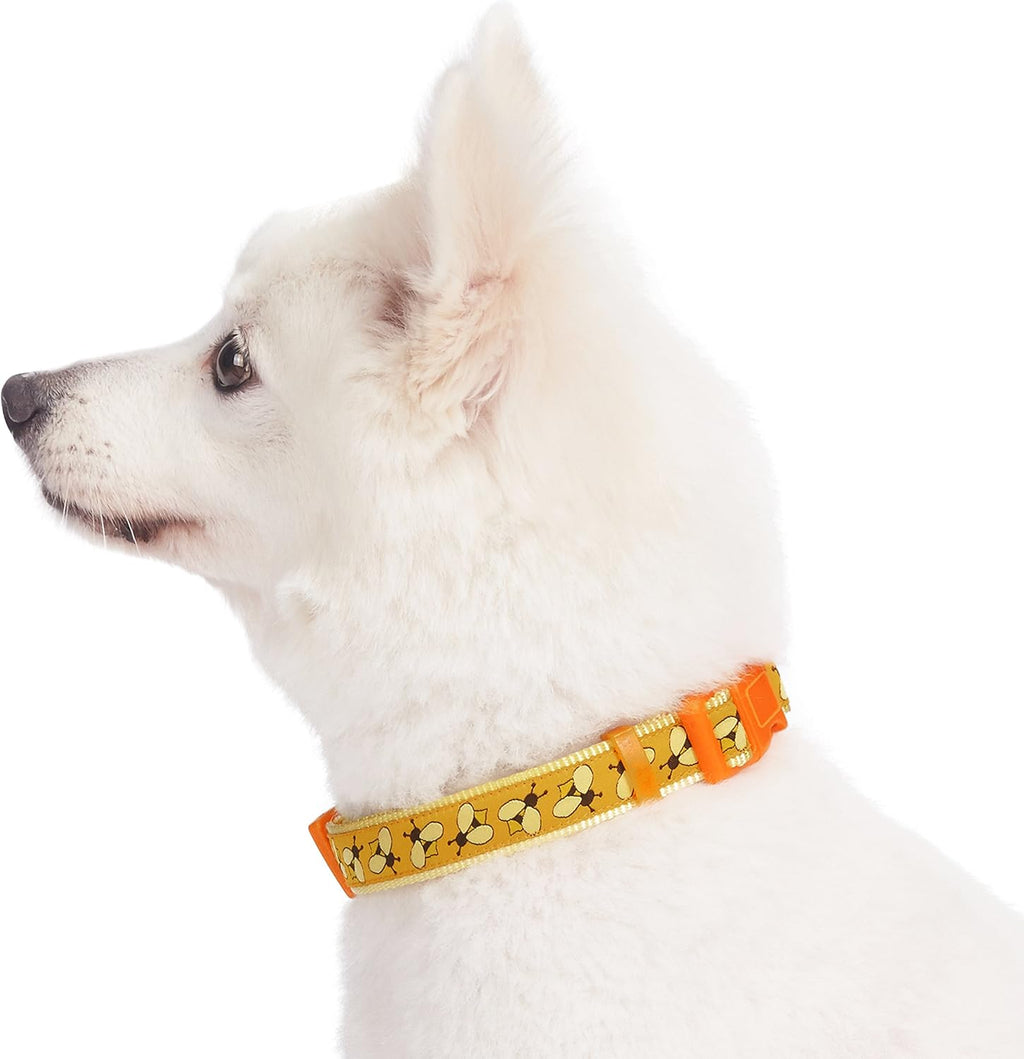 Essentials 10 Patterns Statement Busy Bees Designer Adjustable Dog Collar, Medium, Neck 14.5"-20"