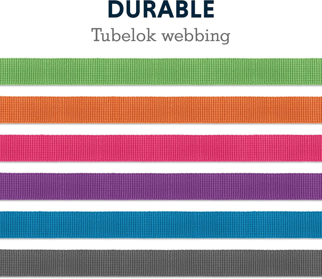 , Front Range Dog Leash, 5 Ft Lead with Padded Handle for Everyday Walking, Wildflower