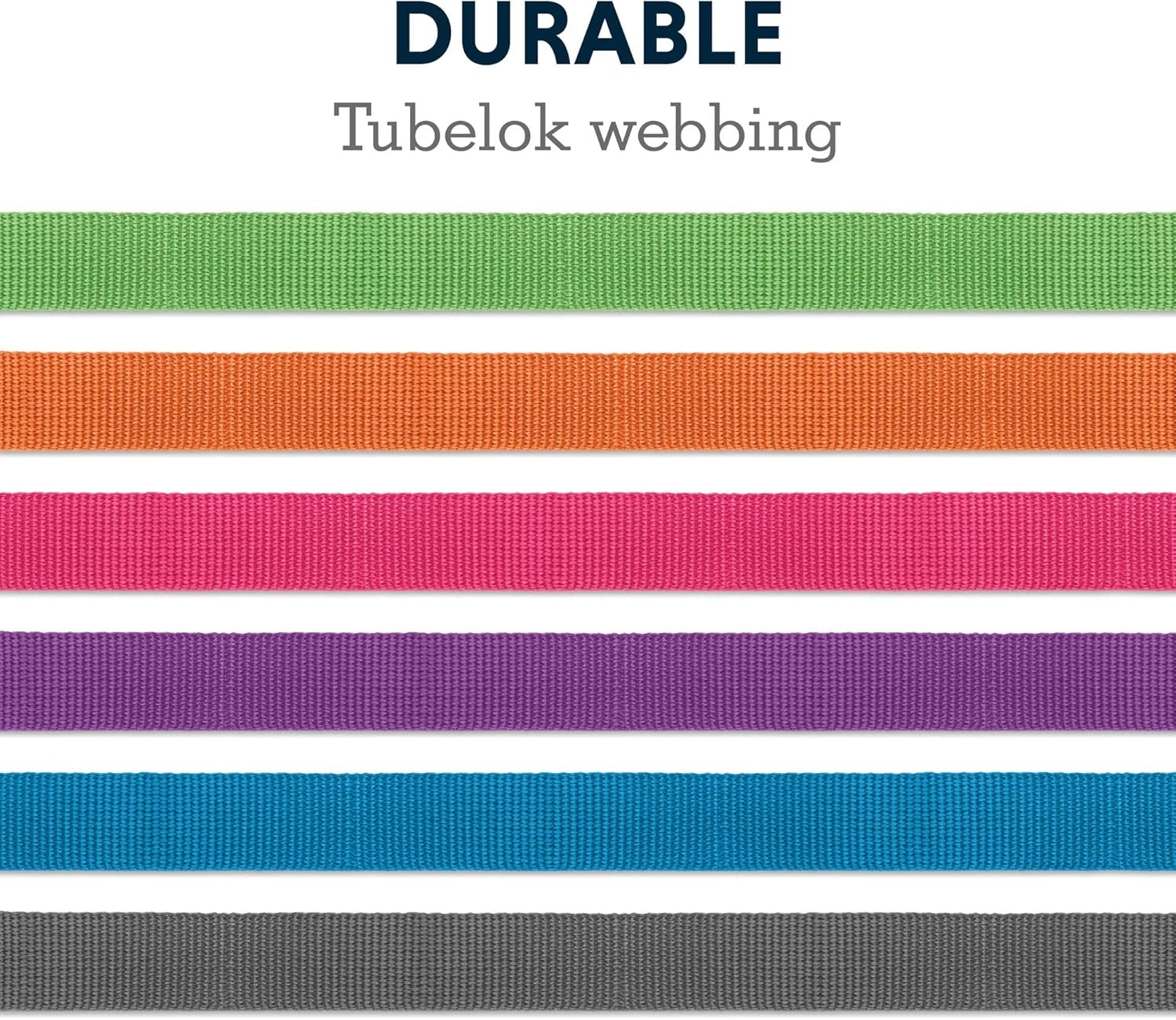 , Front Range Dog Leash, 5 Ft Lead with Padded Handle for Everyday Walking, Wildflower