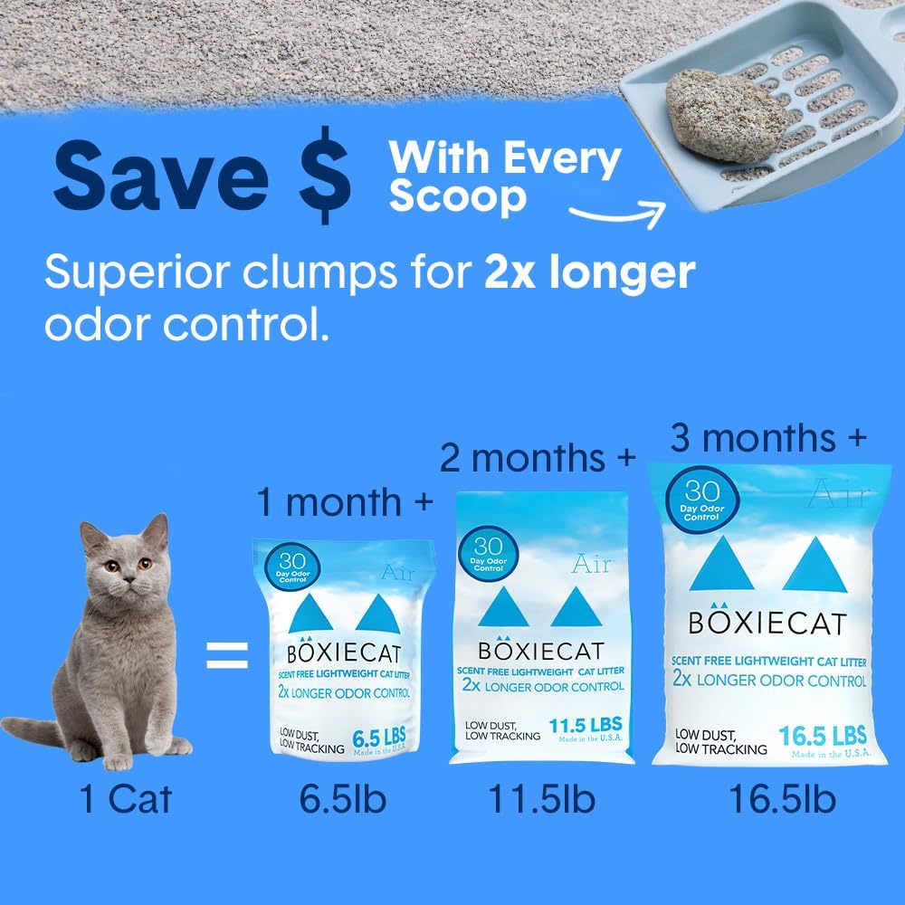 Boxie® Unscented 30 Day Natural Odor Control Cat Litter, 6.5Lb Lightweight Plant Based Kitty Litter