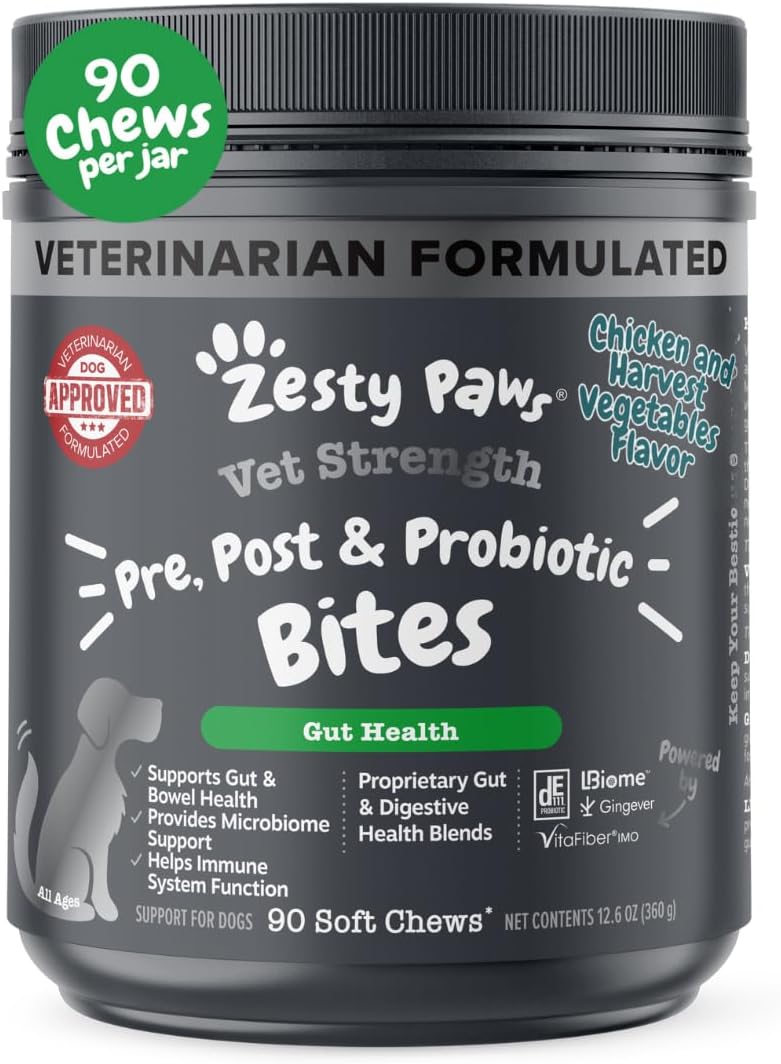 Probiotics for Dogs - Digestive Enzymes for Gut Flora, Digestive Health, Diarrhea & Bowel Support - Clinically Studied DE111 - Dog Supplement Soft Chew for Pet Immune System - Pumpkin