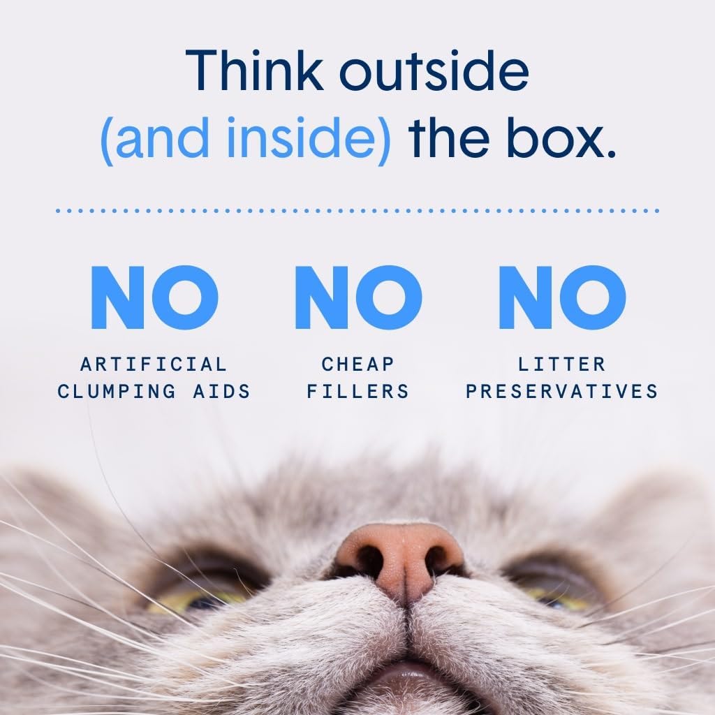 Boxie Eco 100% Compostable Scoop & Tie Pet Waste Bags, 150 Count, Leak-Proof, Easy-To-Tie Handles, Durable Corn Starch, Multi-Pet Friendly, Eco-Friendly for Cat Litter & Dog Waste (Pack of 2)