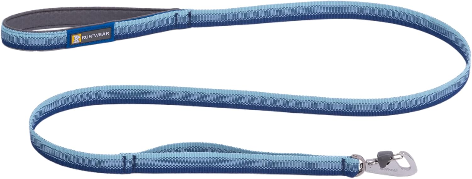 , Front Range Dog Leash, 5 Ft Lead with Padded Handle for Everyday Walking, Coastal Fade