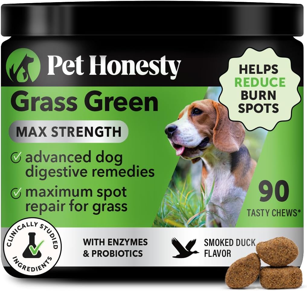 Grass Green Dog Chews - Urine Neutralizer for Lawn, Dog Pee Grass Helps Yard Stay Green Addressing Burn Spots with Probiotics & Enzymes (Turkey)