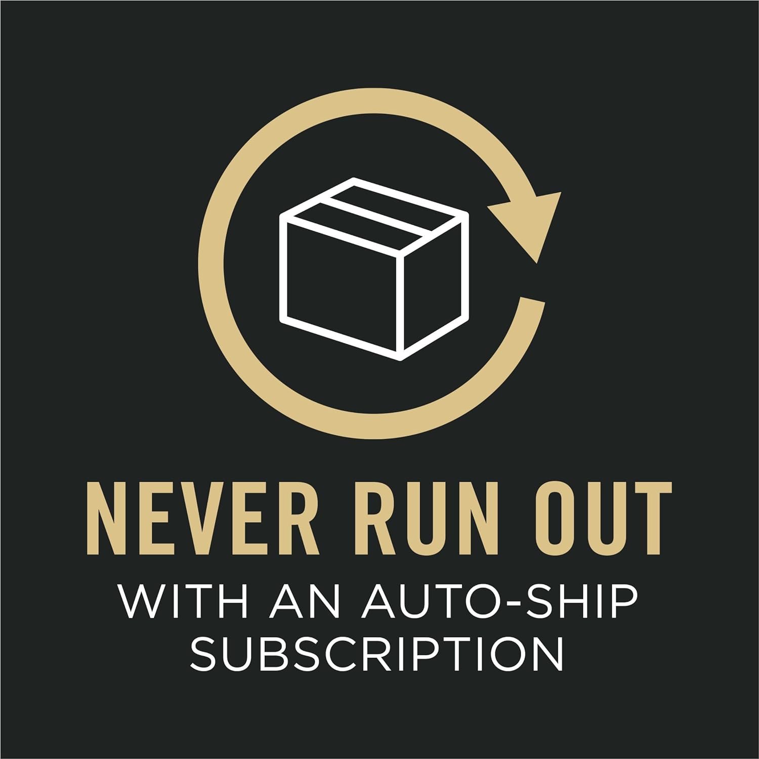 High Protein, Digestive Health Large Breed Dog Food Dry, Chicken and Rice Formula - 34 Lb. Bag