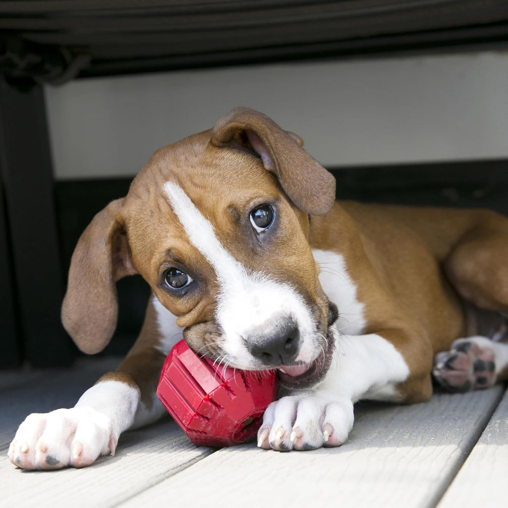 Extreme Tires - 'S Most Durable Natural Rubber Chew & Fetch Toy - Treat Dispenser Dog Tire Toy - Pet Supplies for Outdoor & Indoor Play - for Medium/Large Dogs