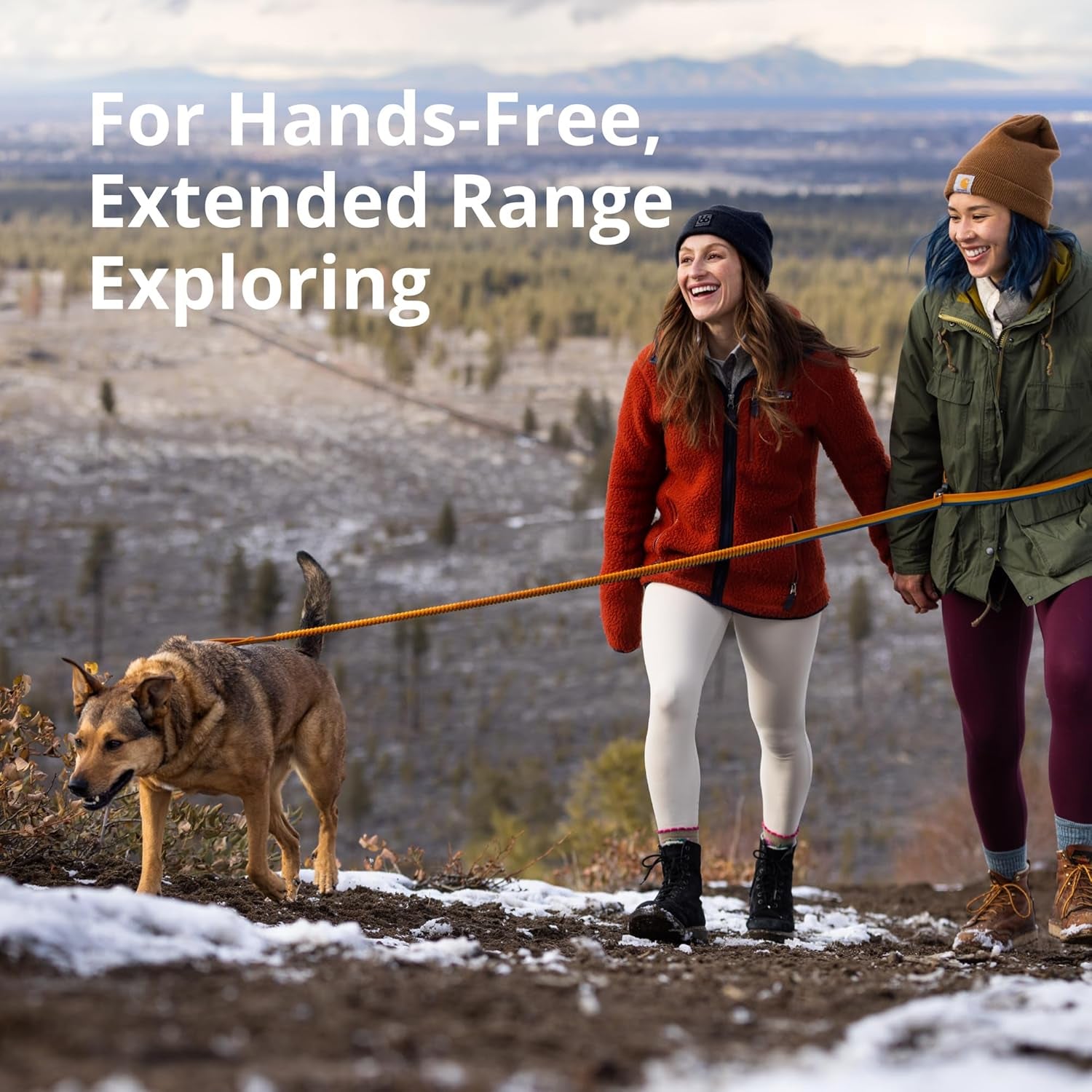 , Roamer Bungee Dog Leash for Running, Biking or Hiking, Can Be Used Hand-Held or Hands-Free, Orion Blue, 7.3'-11'