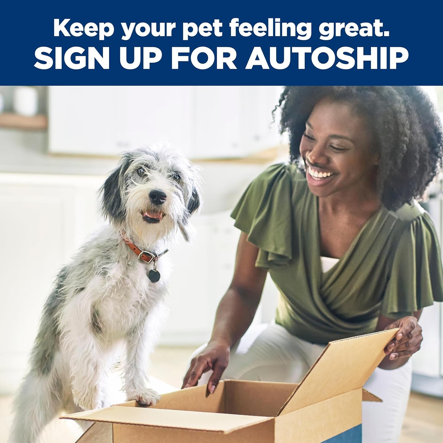 Sensitive Stomach & Skin, Adult 1-6, Stomach & Skin Sensitivity Support, Dry Dog Food, Chicken Recipe, 15.5 Lb Bag