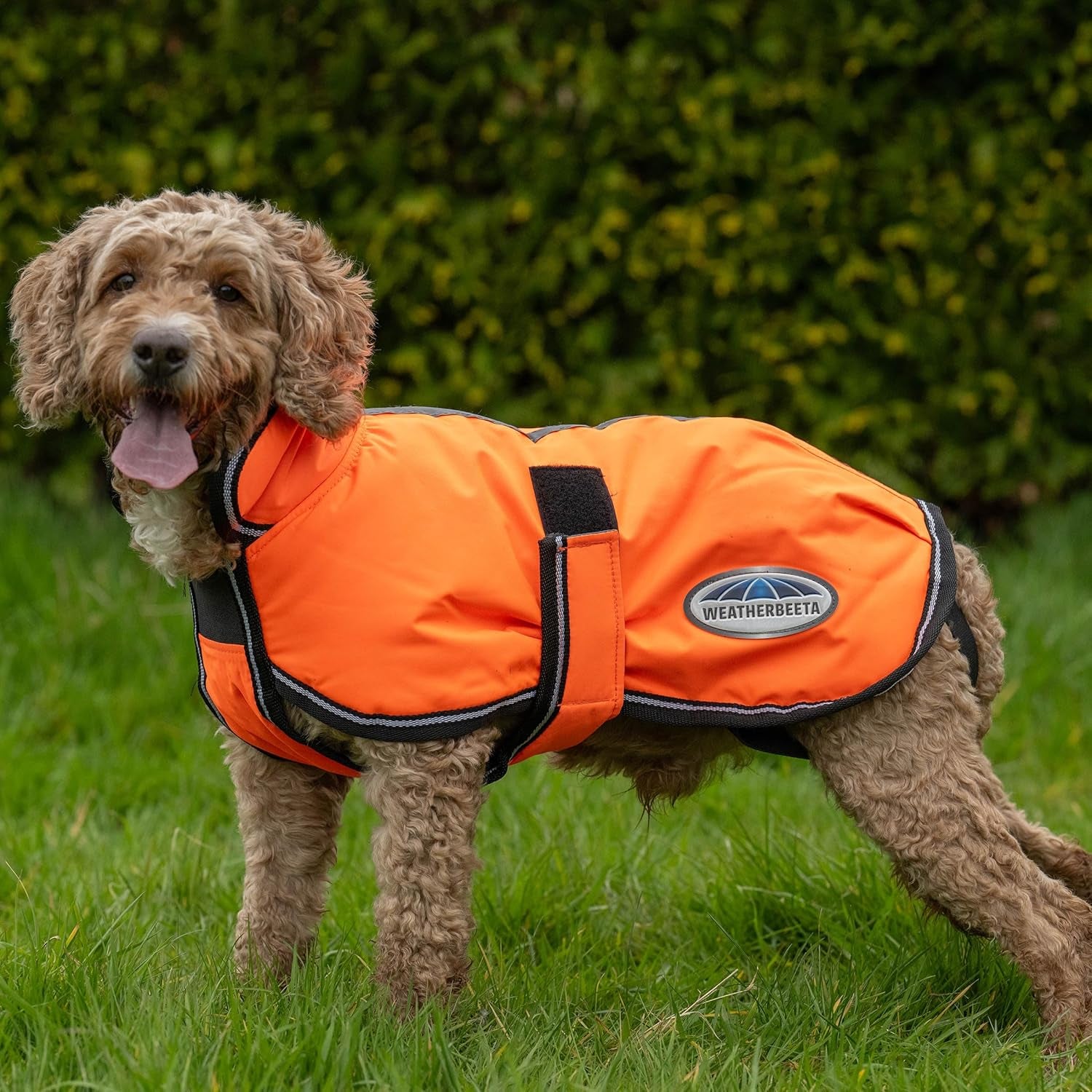Comfitec Reflective Parka 300D Deluxe Dog Coat, Orange, 30"