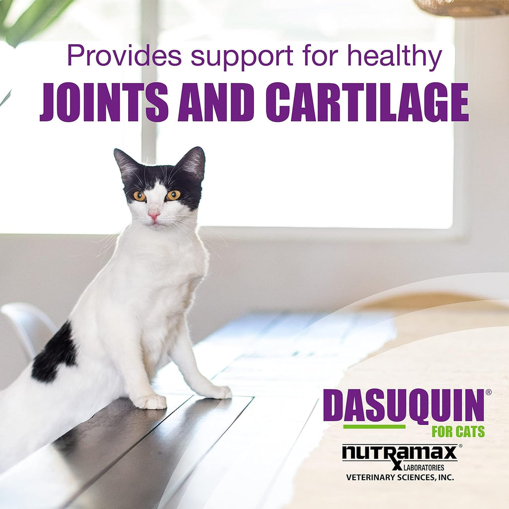 Nutramax Dasuquin Joint Health Supplement for Cats - with Glucosamine, Chondroitin, ASU, Boswellia Serrata Extract, Green Tea Extract, and Omega-3, 84 Soft Chews