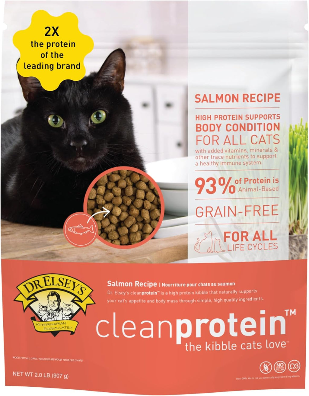 Cleanprotein Salmon Formula Dry Cat Food, 6.6 Lb