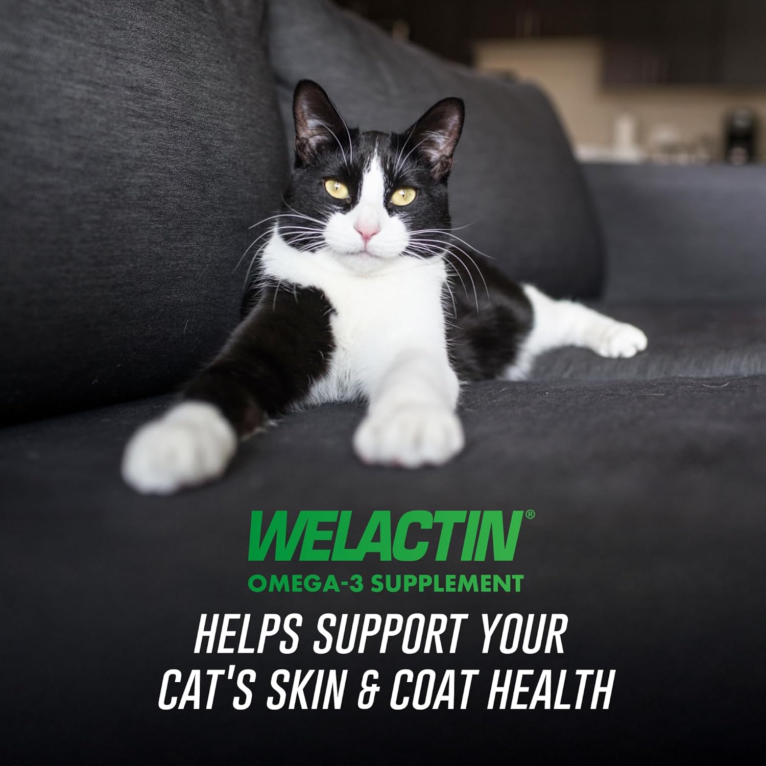 Welactin Omega-3 Skin and Coat Support, Liquid, 4 Oz, Green