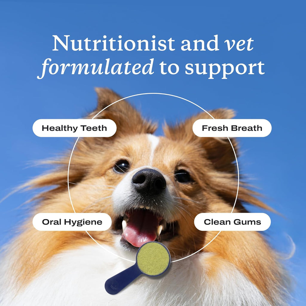 Probright Dental Powder - Dog Breath Freshener - Teeth Cleaning Made Easy – Targets Tartar & Bad Breath - Formulated for Large Dogs - Packaging May Vary