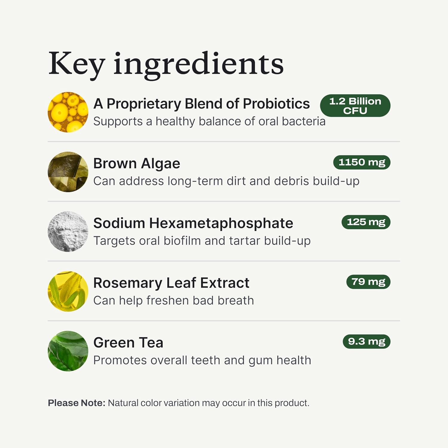 Probright Dental Powder - Dog Breath Freshener - Teeth Cleaning Made Easy – Targets Tartar & Bad Breath - Formulated for Large Dogs - Packaging May Vary