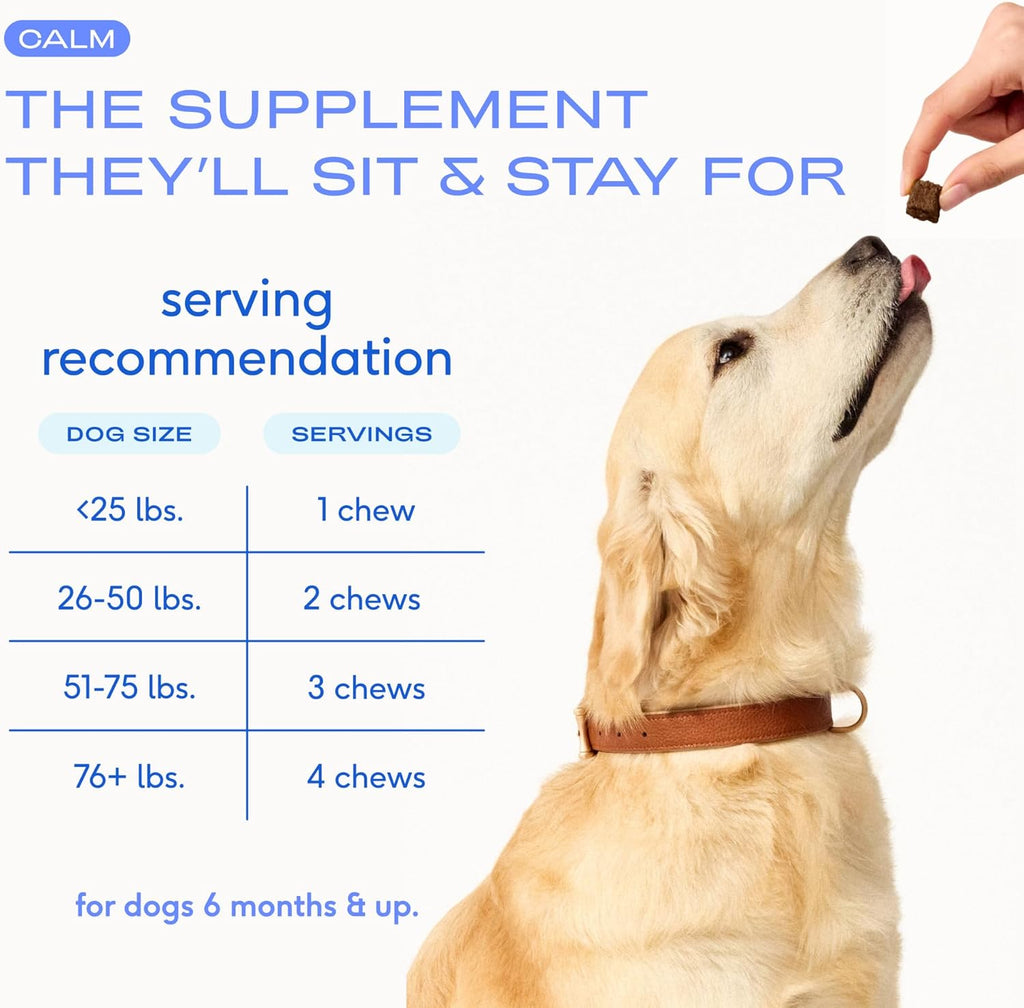 Calming Chews for Dogs - Melatonin for Dogs Anxiety Relief - Grain Free All Natural Hemp Calming Treats & L-Theanine Helps Manage Stress & Separation Anxiety - Puppy Sleep Aid - 60 Chews
