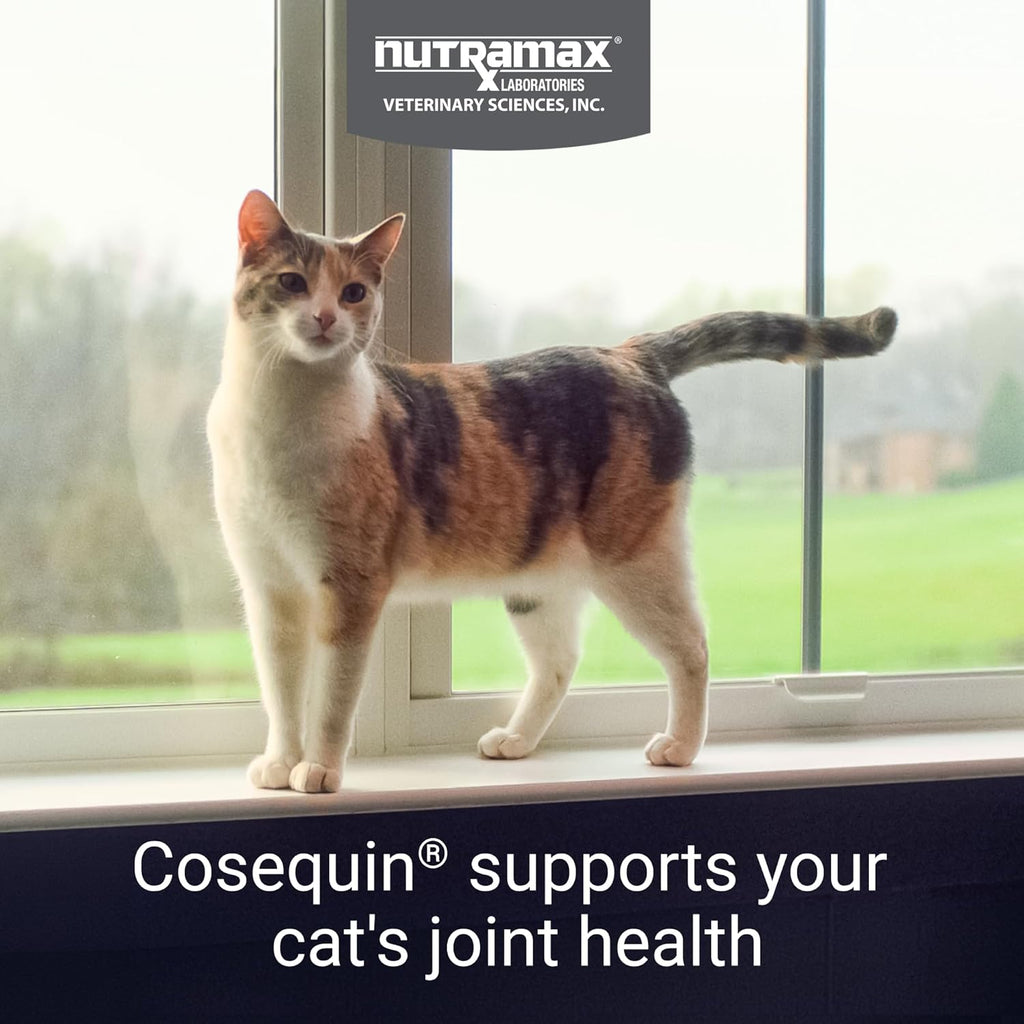 Nutramax Cosequin for Cats Joint Health Supplement, Contains Glucosamine for Cats, plus Chondroitin, Supports Healthy Joints, for All Breeds and Sizes, Sprinkle Capsules, 55 Count