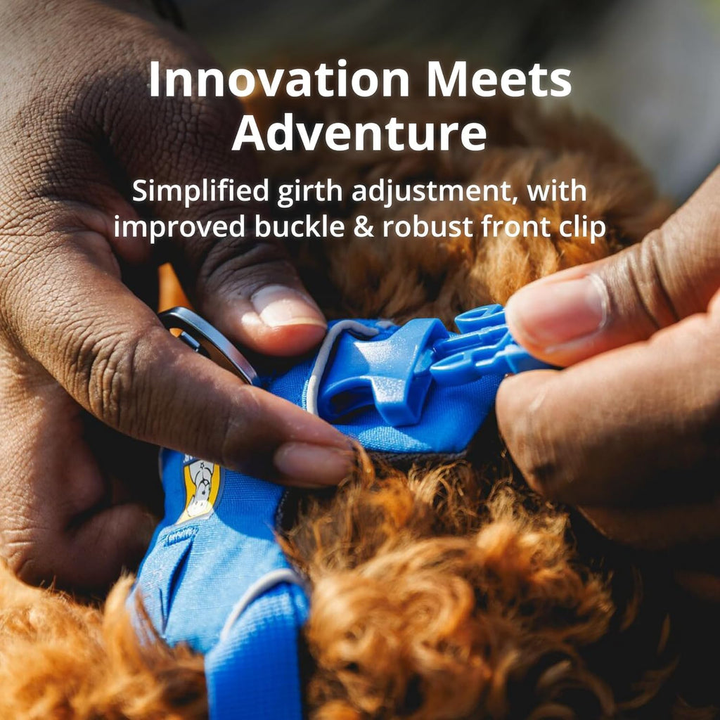 , Front Range Dog Harness, Reflective Soft Padded Everyday Harness with Dual Leash Clips, Adjustable and Lightweight Fit for Training or Walking for All Dogs, Twilight Gray, Xx-Small