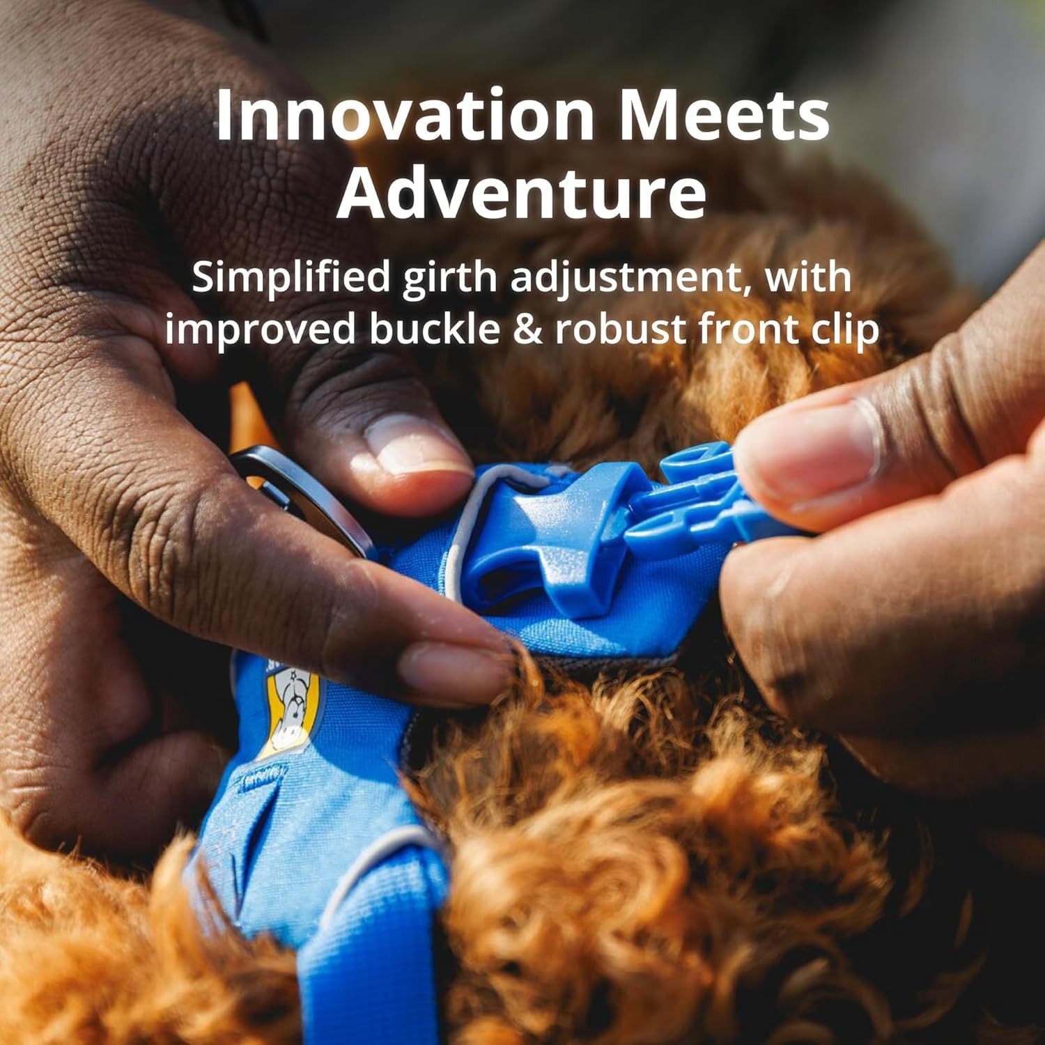 , Front Range Dog Harness, Reflective Soft Padded Everyday Harness with Dual Leash Clips, Adjustable and Lightweight Fit for Training or Walking for All Dogs, Twilight Gray, Xx-Small