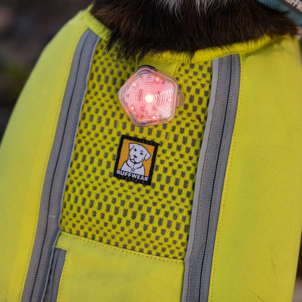 , Beacon Safety Light for Dogs, Clear Lake