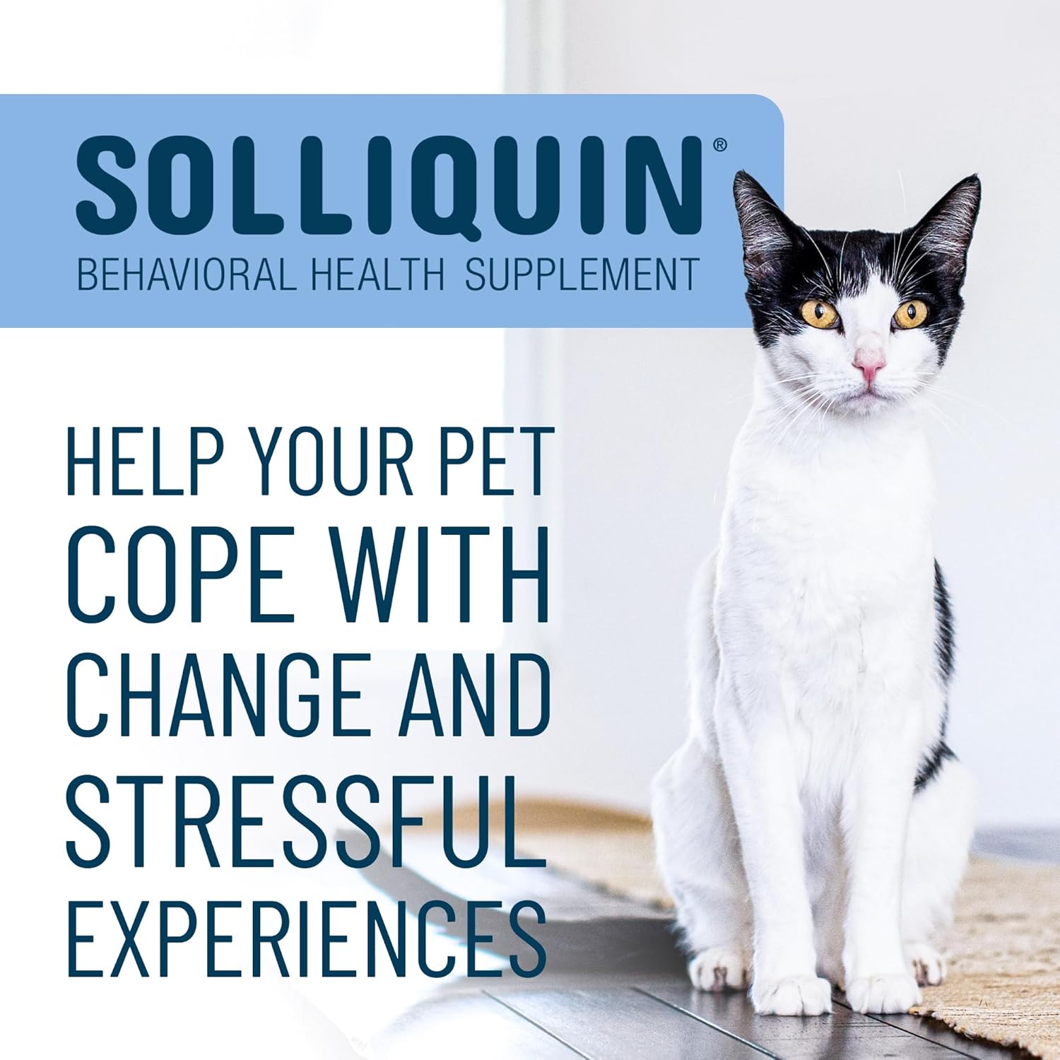 Solliquin Calming Behavioral Health Supplement for Small to Medium Dogs and Cats - with L-Theanine, Magnolia / Phellodendron, and Whey Protein Concentrate, 75 Soft Chews