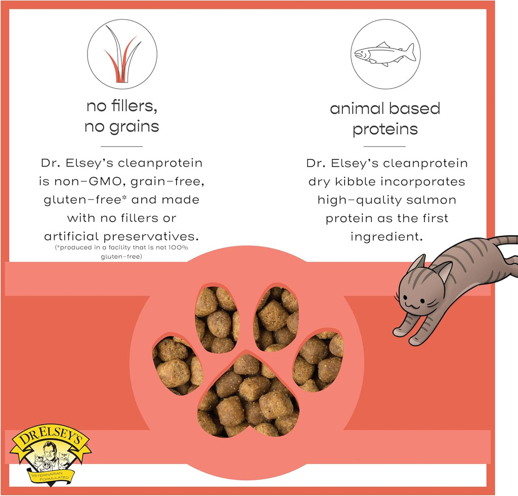 Cleanprotein Salmon Formula Dry Cat Food, 6.6 Lb