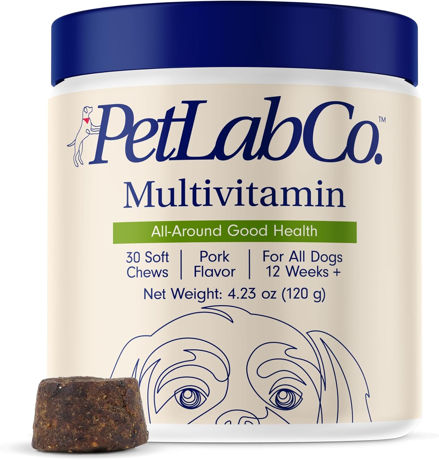 22 in 1 Dog Multivitamin - Support Dog'S Immune Response, Skin, Coat, Joints & Overall Health - Vitamins A, E, D, B12, Minerals, Antioxidants - Chewable Pork Flavor