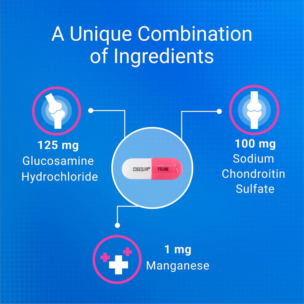 Nutramax Cosequin 80 Sprinkle Capsules for Cats