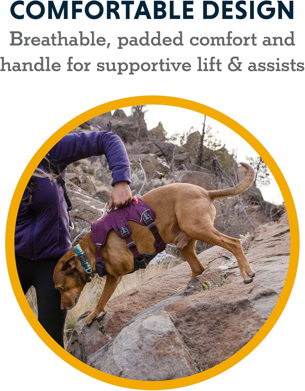 , Web Master, Multi-Use Support Dog Harness, Hiking and Trail Running, Service and Working, Everyday Wear, Purple Rain, Xx-Small