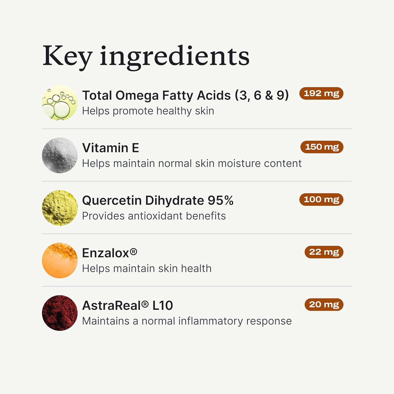 Itch Relief Chew Pro – Itch Relief Chews for Dogs – Omega 3 for Dogs Itch Supplement - Packed with Beneficial Fatty Acids for Healthy Skin – Seasonal Allergies Support - Packaging May Vary