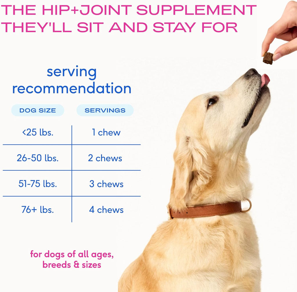 Hip & Joint Supplement for Dogs - Advanced Dog Joint & Arthritis Supplement - Helps Maintain Healthy Cartilage, Joint Flexibility, Lubrication, & Function - with ESM & Collagen - 60 Chews